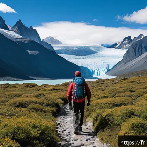 Home 32 로스 글라시아레스 국립공원 정보 - A serene hiking trail in the Los Glaciares National Park, featuring a lone trekker walking on a less...