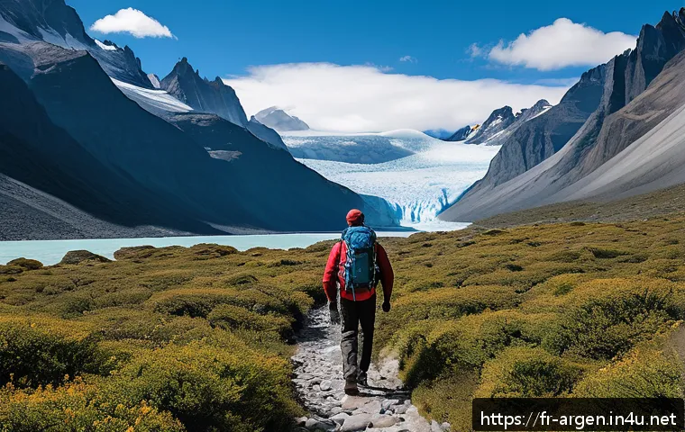 로스 글라시아레스 국립공원 정보 - A serene hiking trail in the Los Glaciares National Park, featuring a lone trekker walking on a less...
